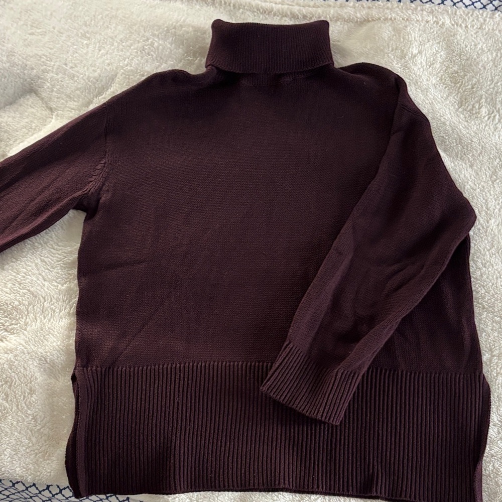 LOFT Eggplant/Brown Turtleneck Sweater